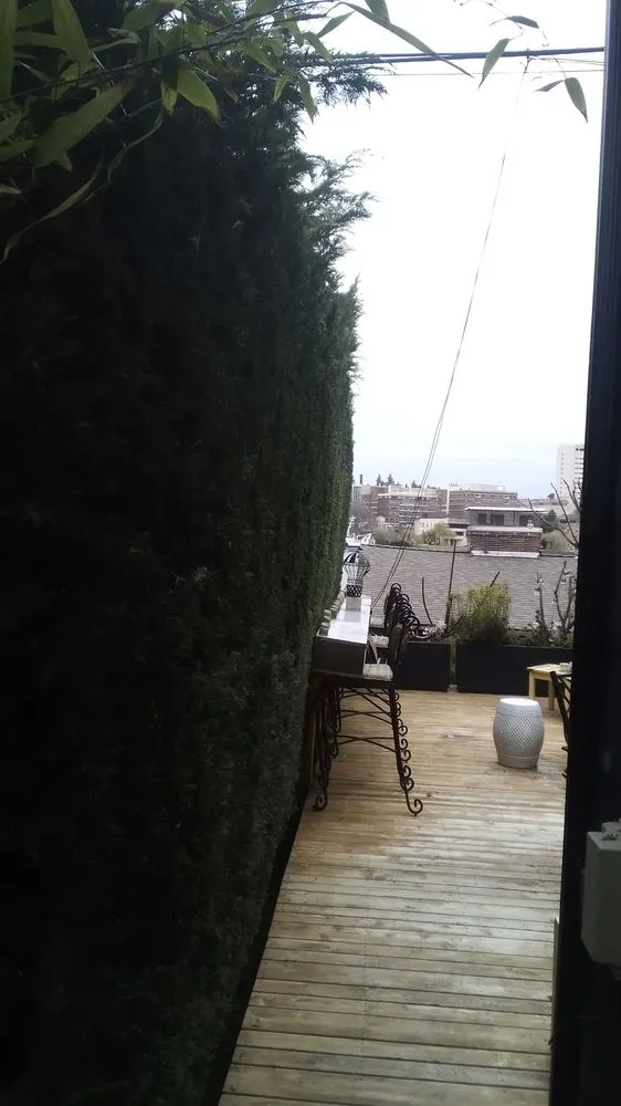 Local lawn care service for year-round maintenance in Seattle, WA by Affordable Landscape And Maintenance