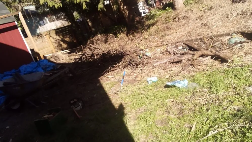 Affordable residential landscaping in Seattle, WA by Affordable Landscape And Maintenance