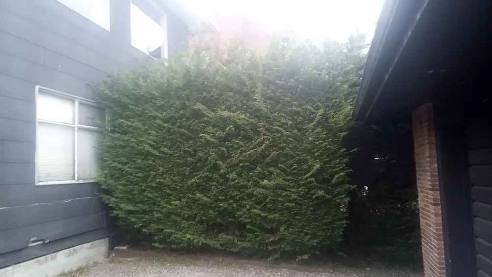 Custom outdoor landscaping experts serving Seattle, WA - Affordable Landscape And Maintenance