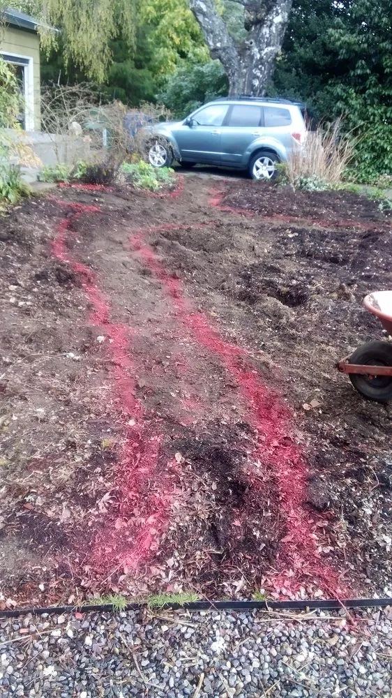 Affordable residential landscaping experts serving Seattle, WA - Affordable Landscape And Maintenance