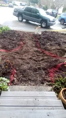 Affordable Landscape And Maintenance Logo