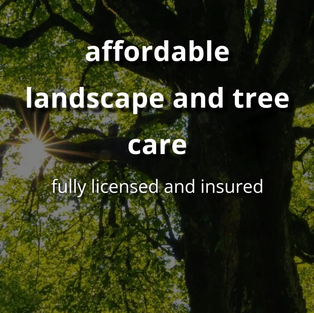 Reliable outdoor landscaping experts serving Meridian, ID - Affordable Landscape and Tree Care