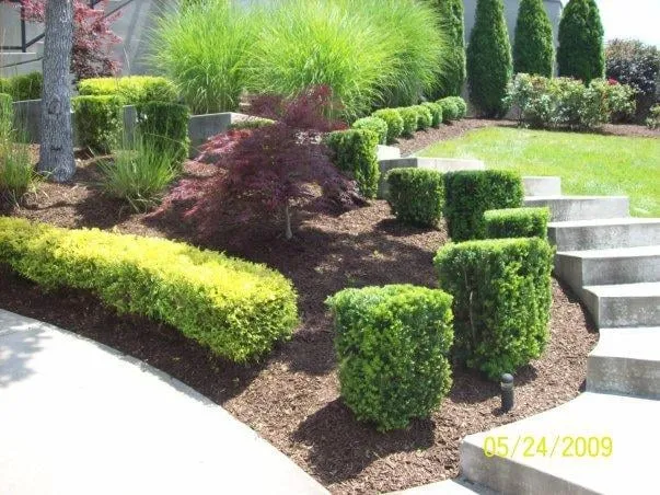 Expert landscape installation in Camdenton, MO - Affordable Landscape