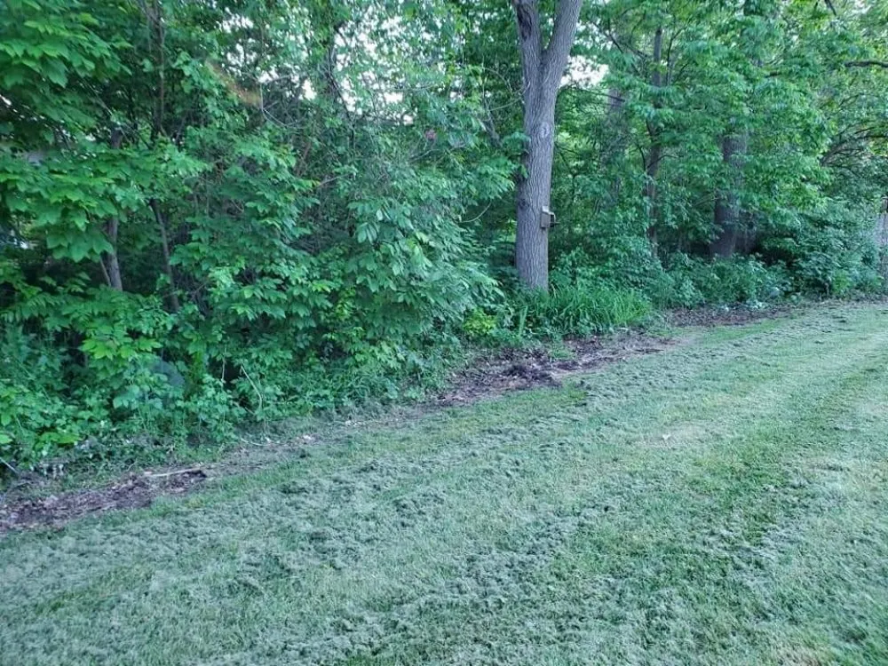 Affordable landscaping services for homes across Fort Wayne, IN - Affordable Landscape Now