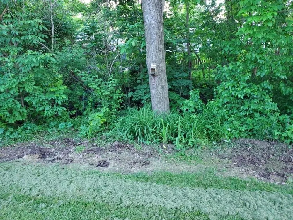 Trusted landscape design experts serving Fort Wayne, IN - Affordable Landscape Now