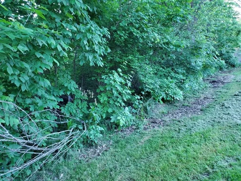 Top-rated yard cleanup service for beautiful yards in Fort Wayne, IN by Affordable Landscape Now