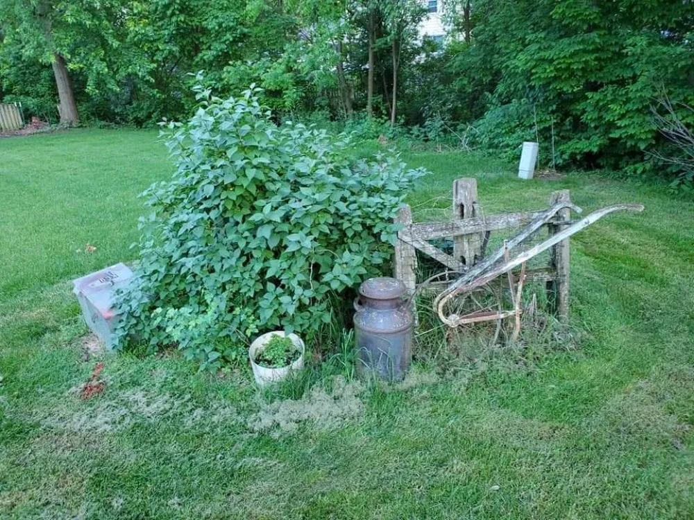 Top-rated outdoor landscaping for beautiful yards in Fort Wayne, IN by Affordable Landscape Now