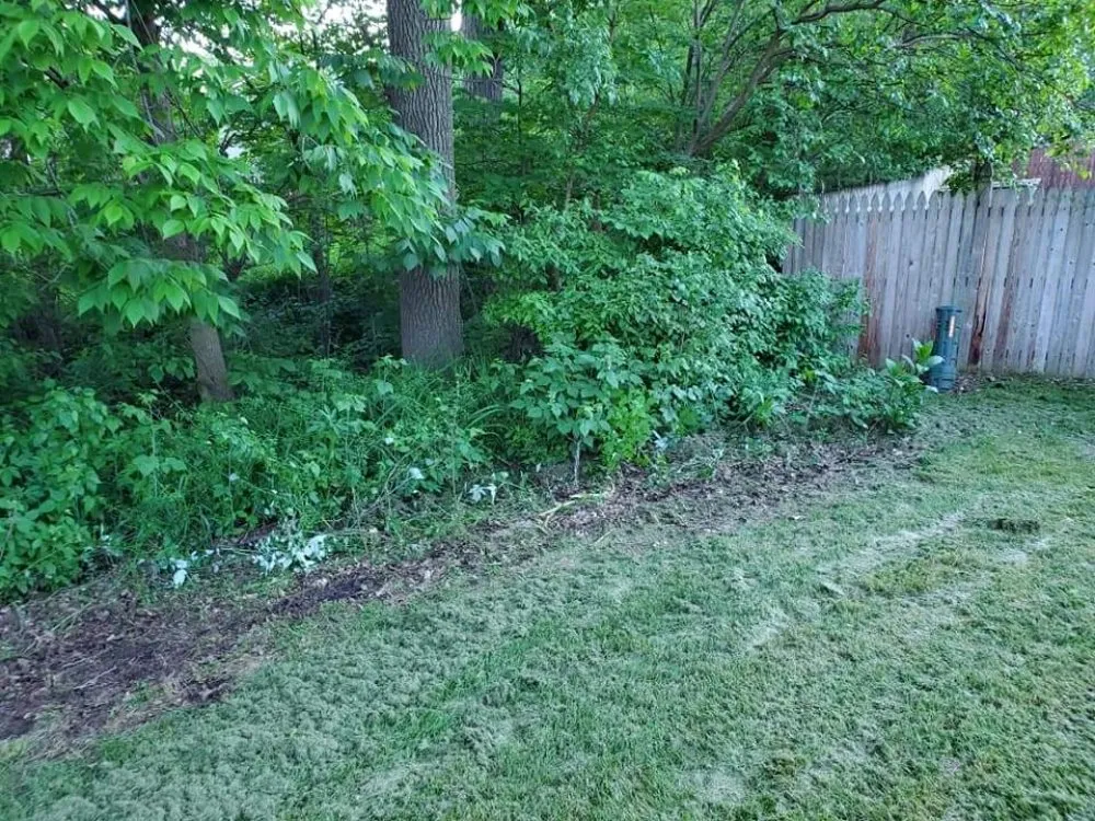 Expert lawn care service in Fort Wayne, IN by Affordable Landscape Now