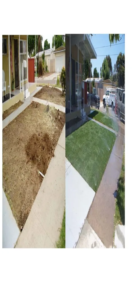 Top-rated yard cleanup service for outdoor upgrades in San Diego, CA by Affordable Landscape