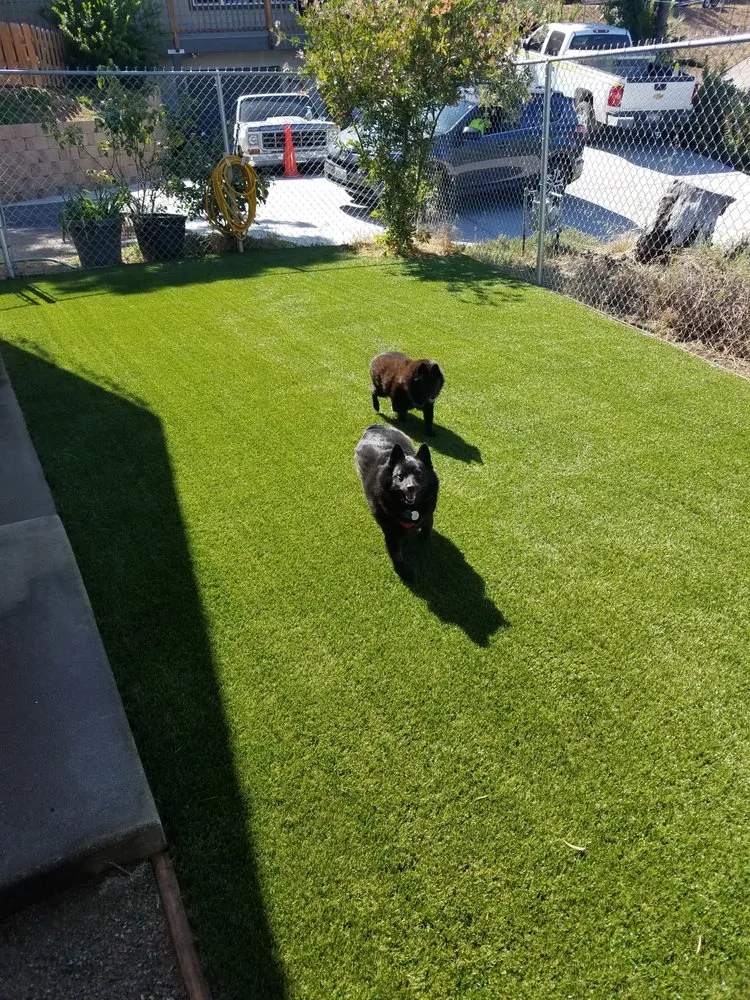 Top-rated landscape design in San Diego, CA - Affordable Landscape