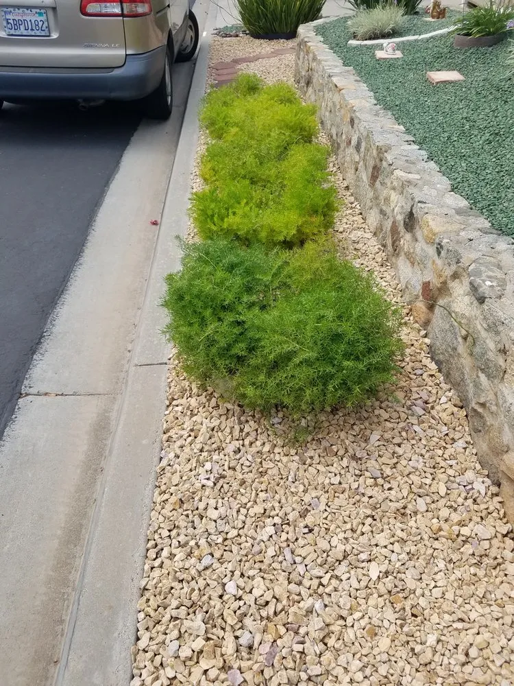 Local landscaping services with custom design across San Diego, CA - Affordable Landscape