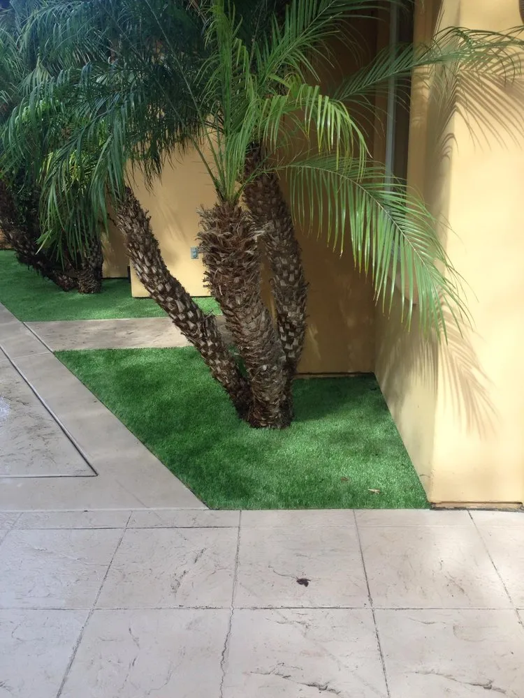 Reliable landscaping services in San Diego, CA by Affordable Landscape