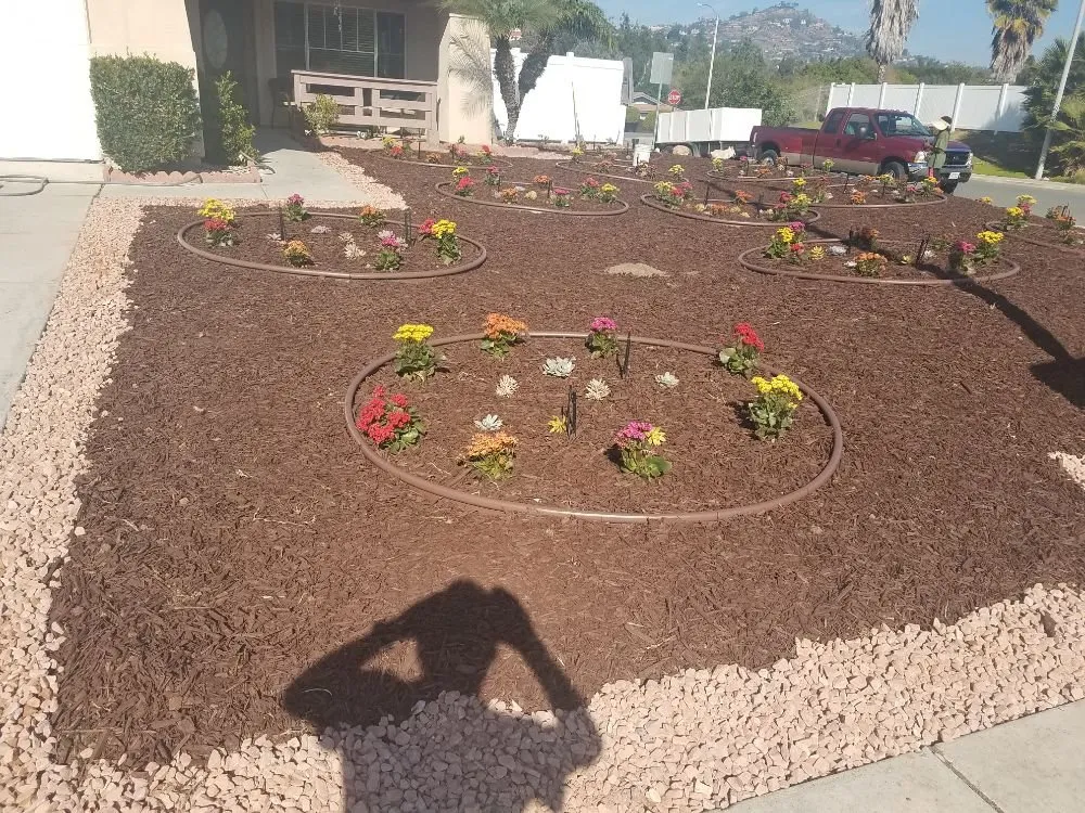 Expert yard cleanup service for beautiful yards across San Diego, CA - Affordable Landscape