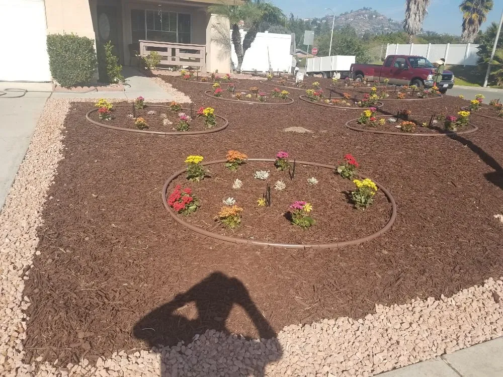 Top-rated landscaping services for homes in San Diego, CA by Affordable Landscape