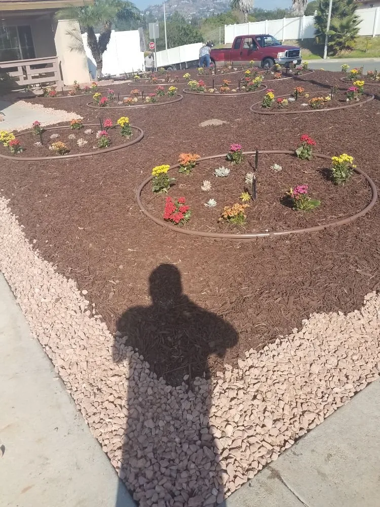 Local residential landscaping for beautiful yards in San Diego, CA by Affordable Landscape