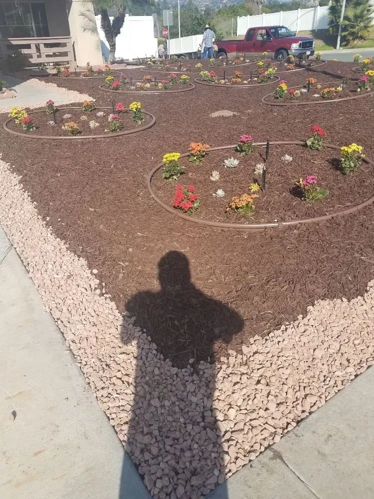 Custom residential landscaping in San Diego, CA by Affordable Landscape