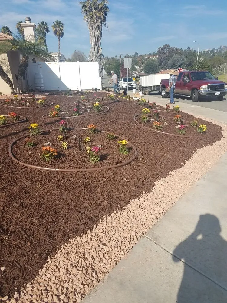 Top-rated landscaping services in San Diego, CA by Affordable Landscape