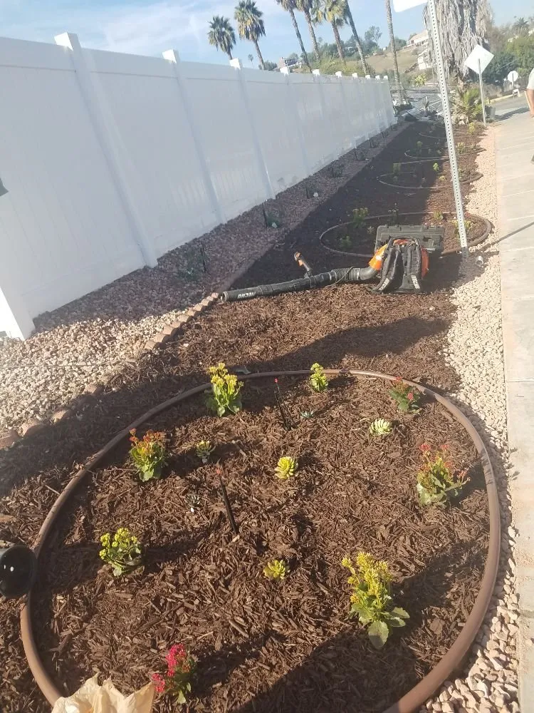 Custom yard cleanup service in San Diego, CA - Affordable Landscape