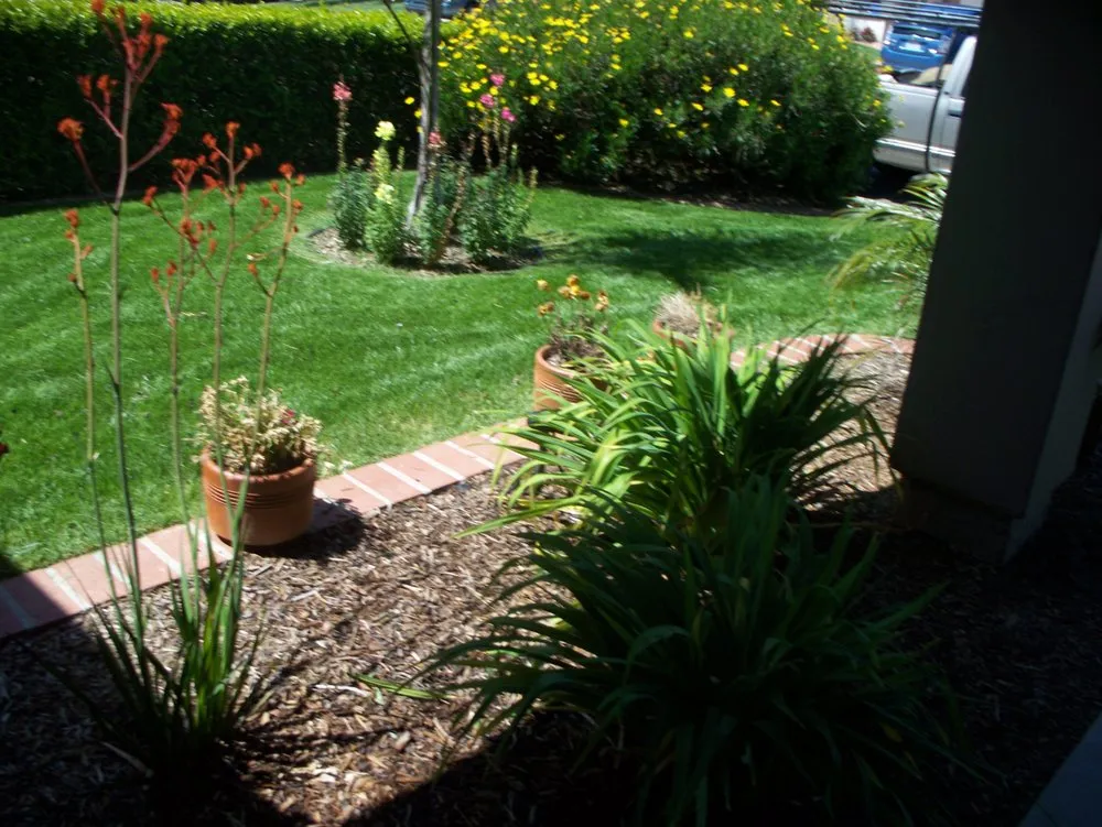 Professional garden landscaping in San Diego, CA by Affordable Landscape