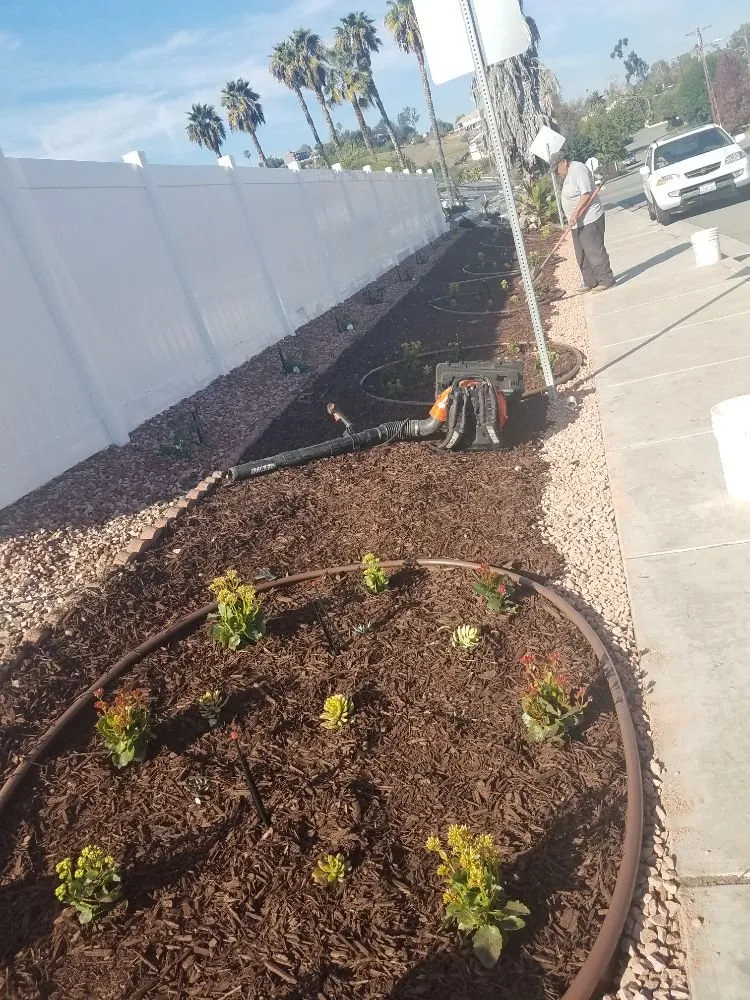 Affordable lawn mowing service for beautiful yards across San Diego, CA - Affordable Landscape