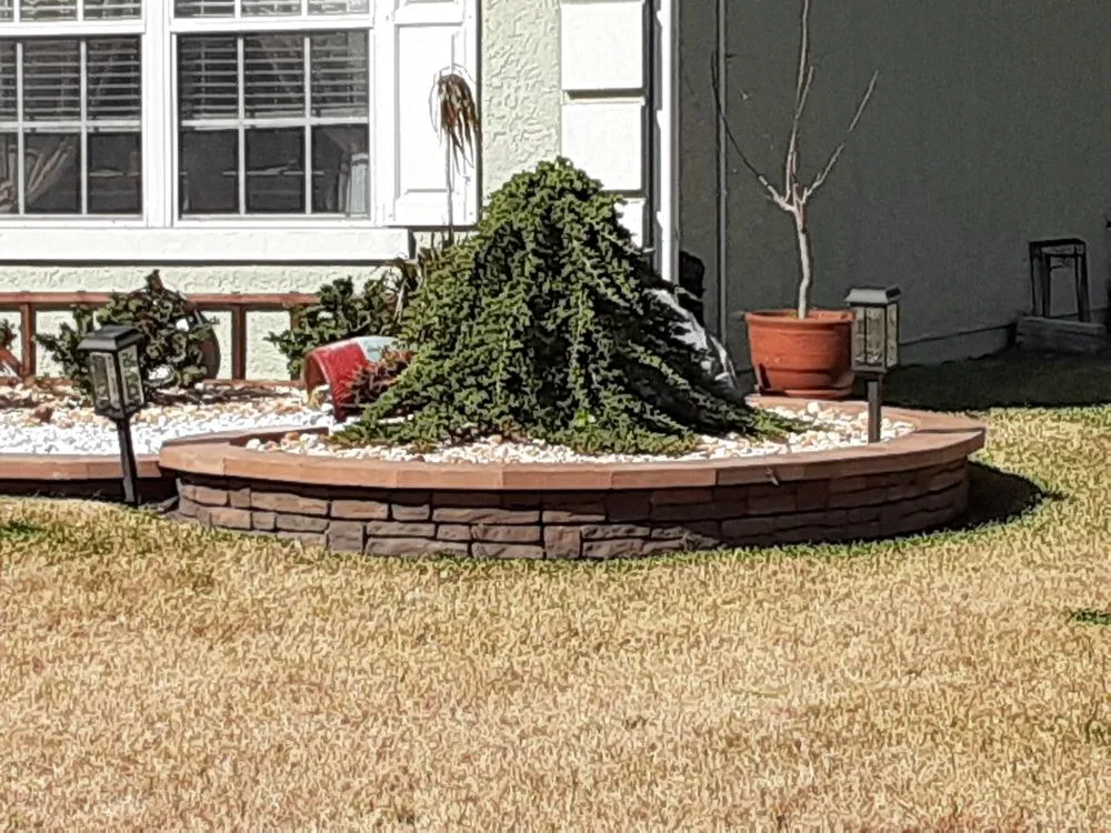 Custom landscape installation for beautiful yards across Lady Lake, FL - Affordable Landscape Solutions