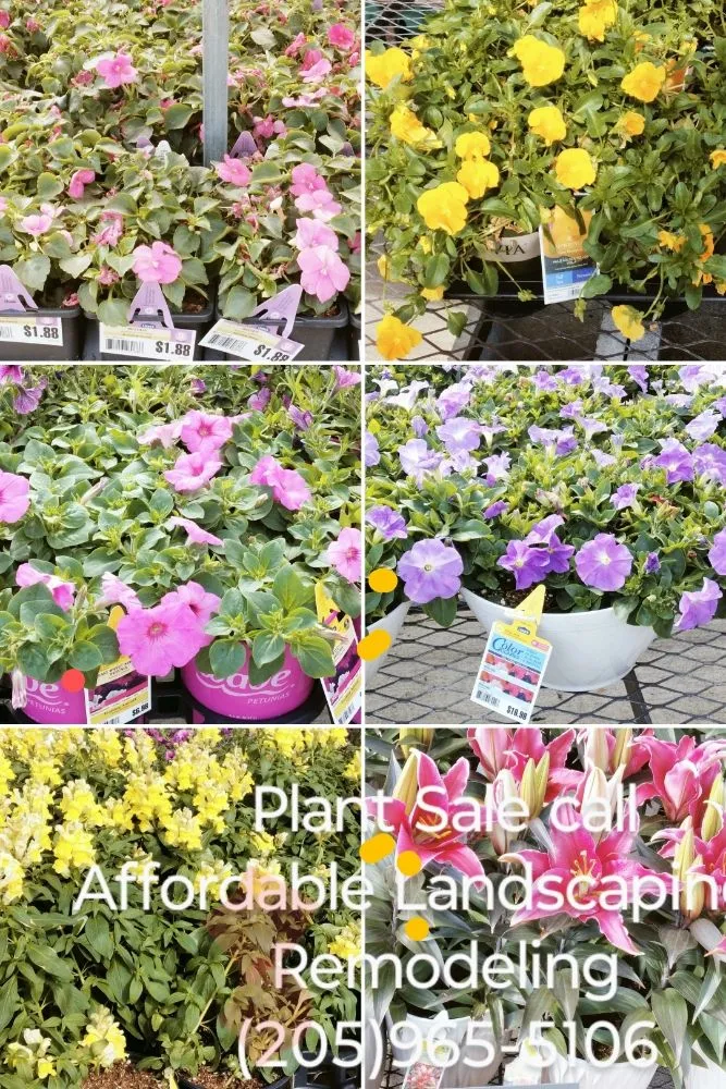 Reliable outdoor landscaping for outdoor upgrades across Warrior, AL - Affordable Landscaping & Remodeling