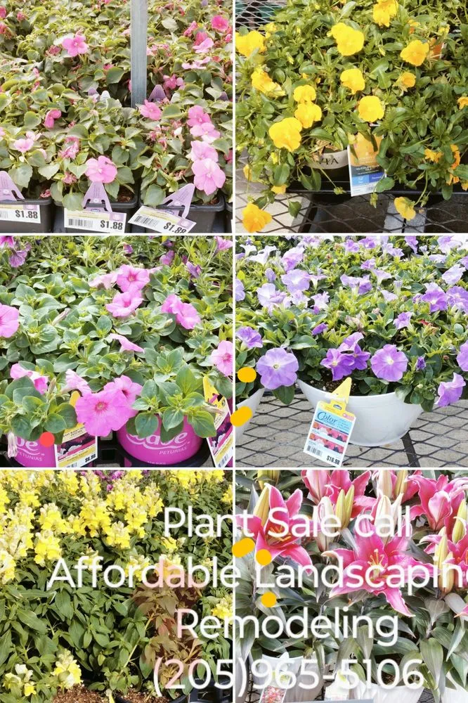 Top-rated yard cleanup service in Warrior, AL by Affordable Landscaping & Remodeling