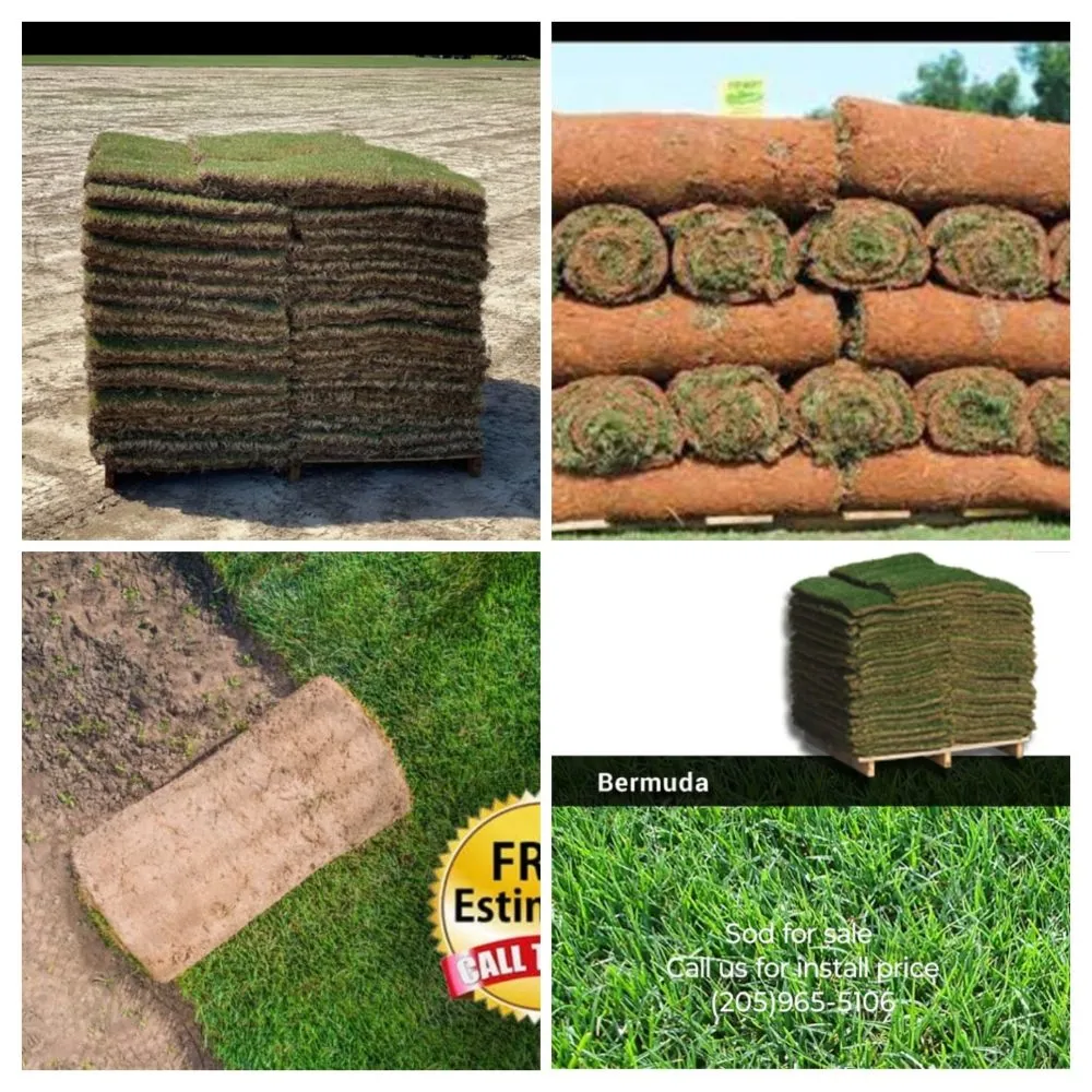 Custom landscape installation experts serving Warrior, AL - Affordable Landscaping & Remodeling