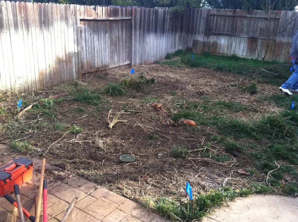 Reliable lawn care service for homes in Sacramento, CA by Affordable Landscaping & Service