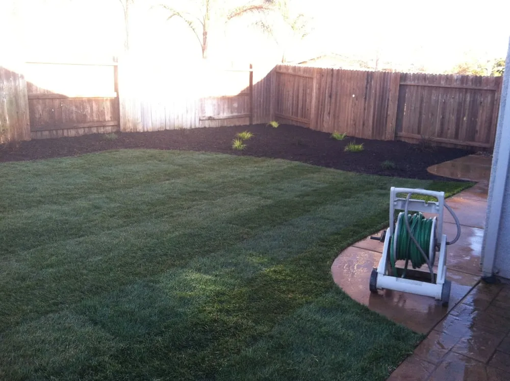 Top-rated yard maintenance in Sacramento, CA by Affordable Landscaping & Service