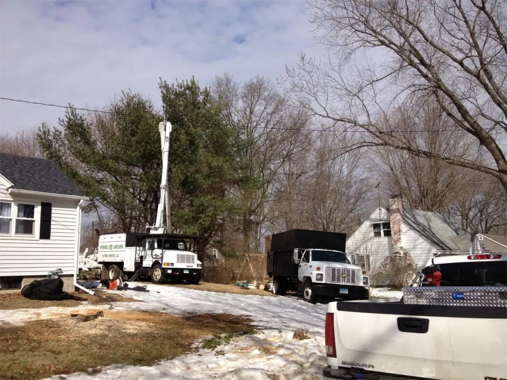 Reliable landscaping services in Hamden, CT - Affordable Landscaping & Tree Service