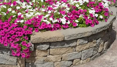 Reliable yard cleanup service with custom design across Hamden, CT - Affordable Landscaping & Tree Service