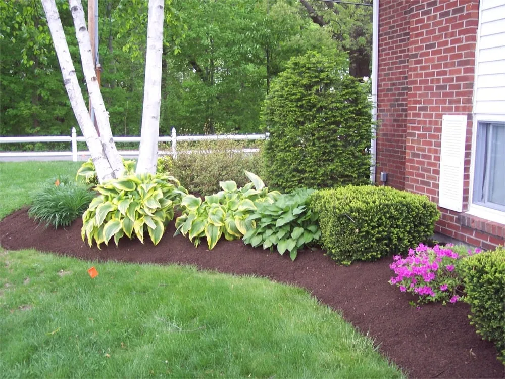 Trusted lawn mowing service in Hamden, CT - Affordable Landscaping & Tree Service