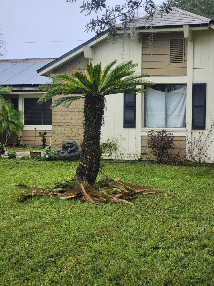 Local landscape design for homes in Deltona, FL by Affordable Landscaping and Home Improvement