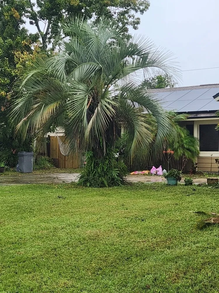 Custom residential landscaping in Deltona, FL - Affordable Landscaping and Home Improvement