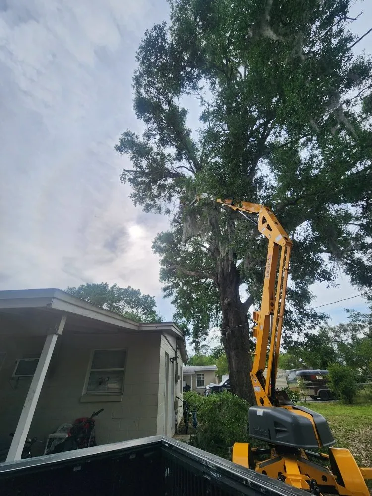 Trusted residential landscaping in Deltona, FL by Affordable Landscaping and Home Improvement