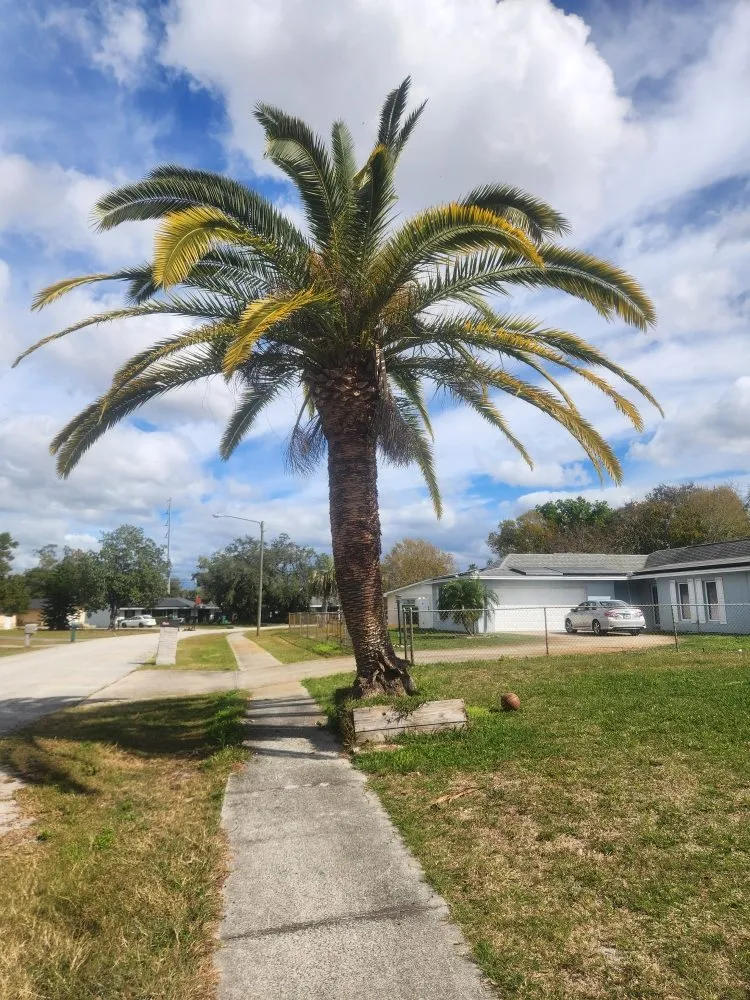 Local garden landscaping near you in Deltona, FL by Affordable Landscaping and Home Improvement