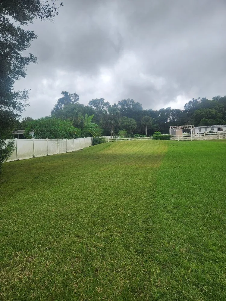 Top-rated lawn care service near you across Deltona, FL - Affordable Landscaping and Home Improvement