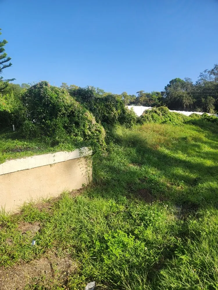 Reliable yard maintenance for outdoor upgrades across Deltona, FL - Affordable Landscaping and Home Improvement