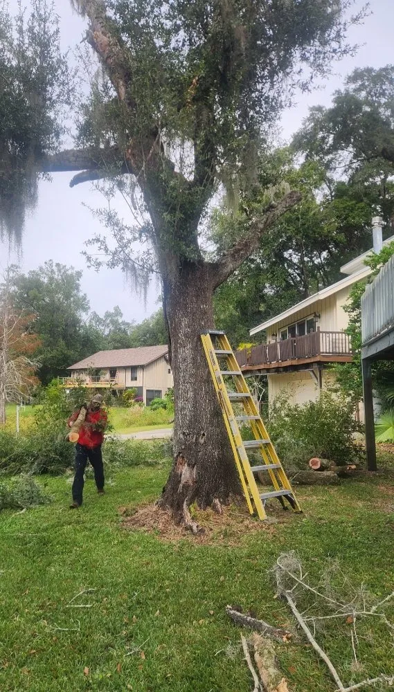 Professional yard maintenance in Deltona, FL - Affordable Landscaping and Home Improvement