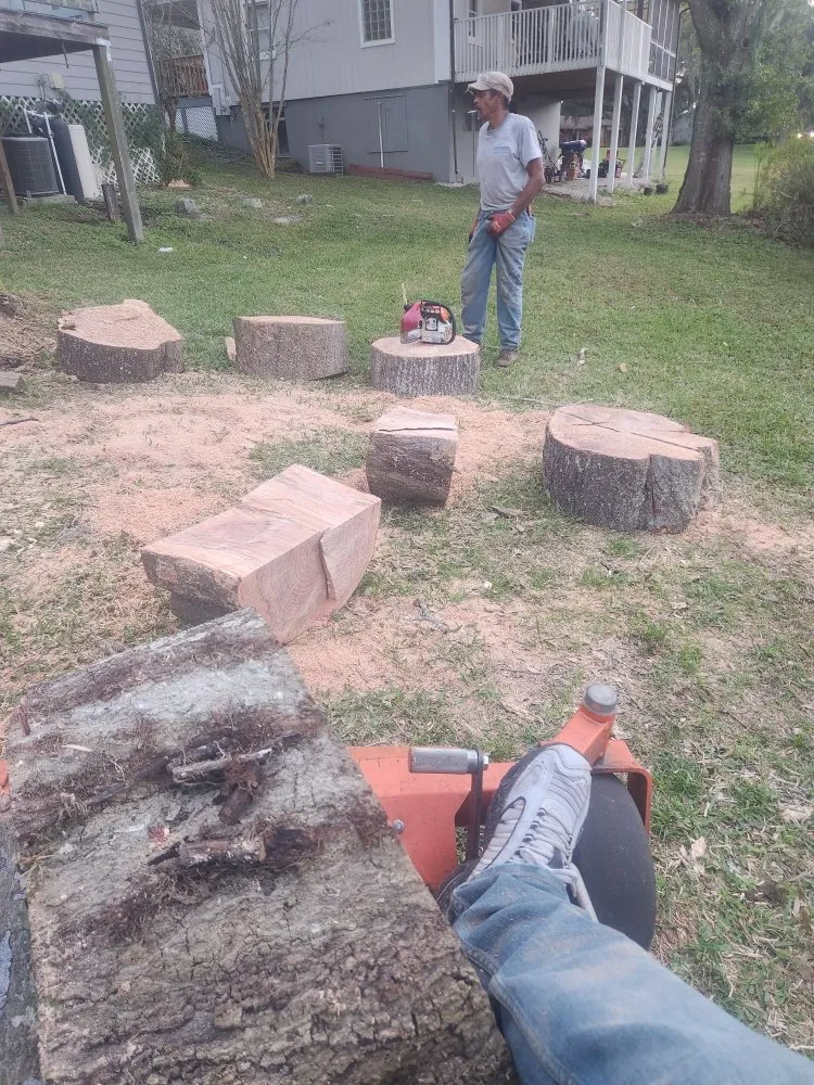 Local landscape design for outdoor upgrades in Deltona, FL by Affordable Landscaping and Home Improvement