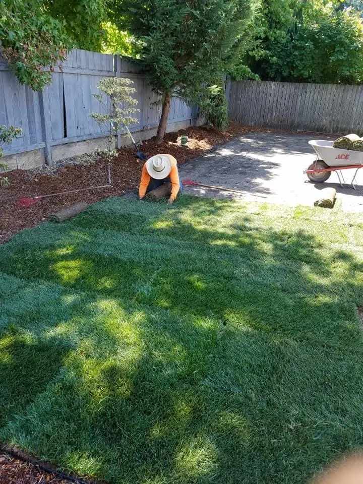 Local landscape installation for outdoor upgrades across Portland, OR - Affordable Landscaping and Maintenance
