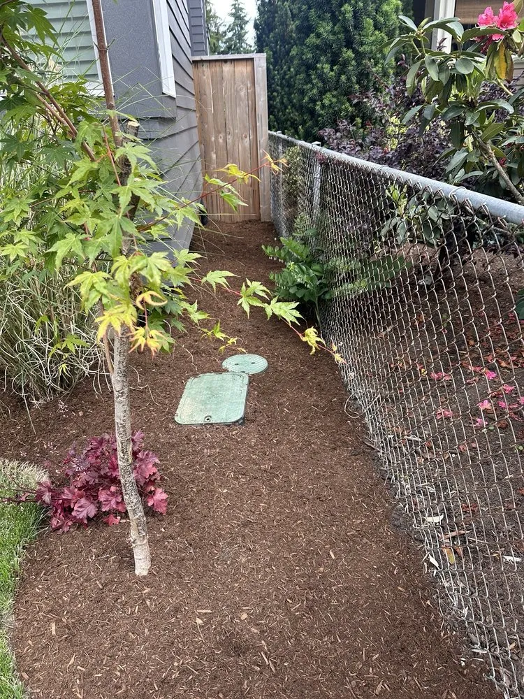 Professional lawn care service in Portland, OR - Affordable Landscaping and Maintenance