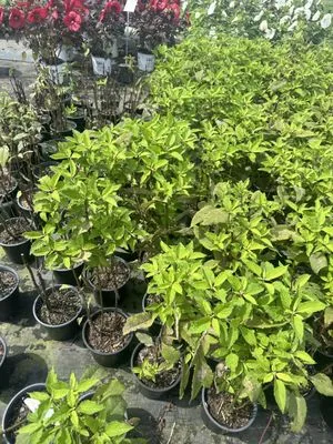 Affordable Landscaping and Property Management Services