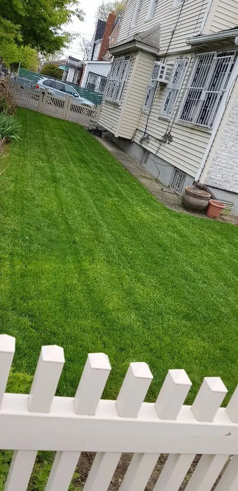 Expert outdoor landscaping in Queens, NY by Affordable Landscaping And Sprinkler Services