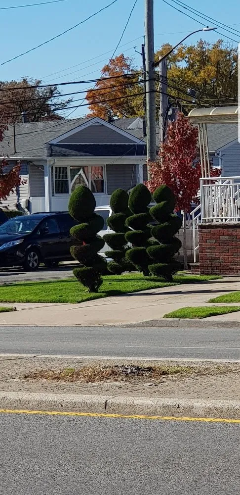 Top-rated yard maintenance experts serving Queens, NY - Affordable Landscaping And Sprinkler Services