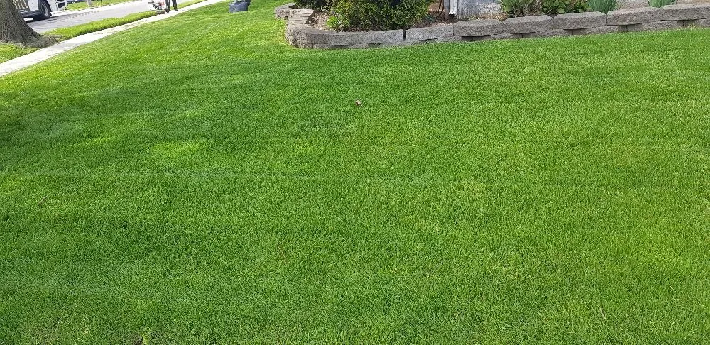 Expert residential landscaping near you across Queens, NY - Affordable Landscaping And Sprinkler Services