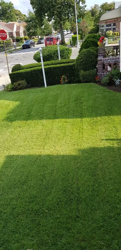 Expert landscape installation in Queens, NY by Affordable Landscaping And Sprinkler Services