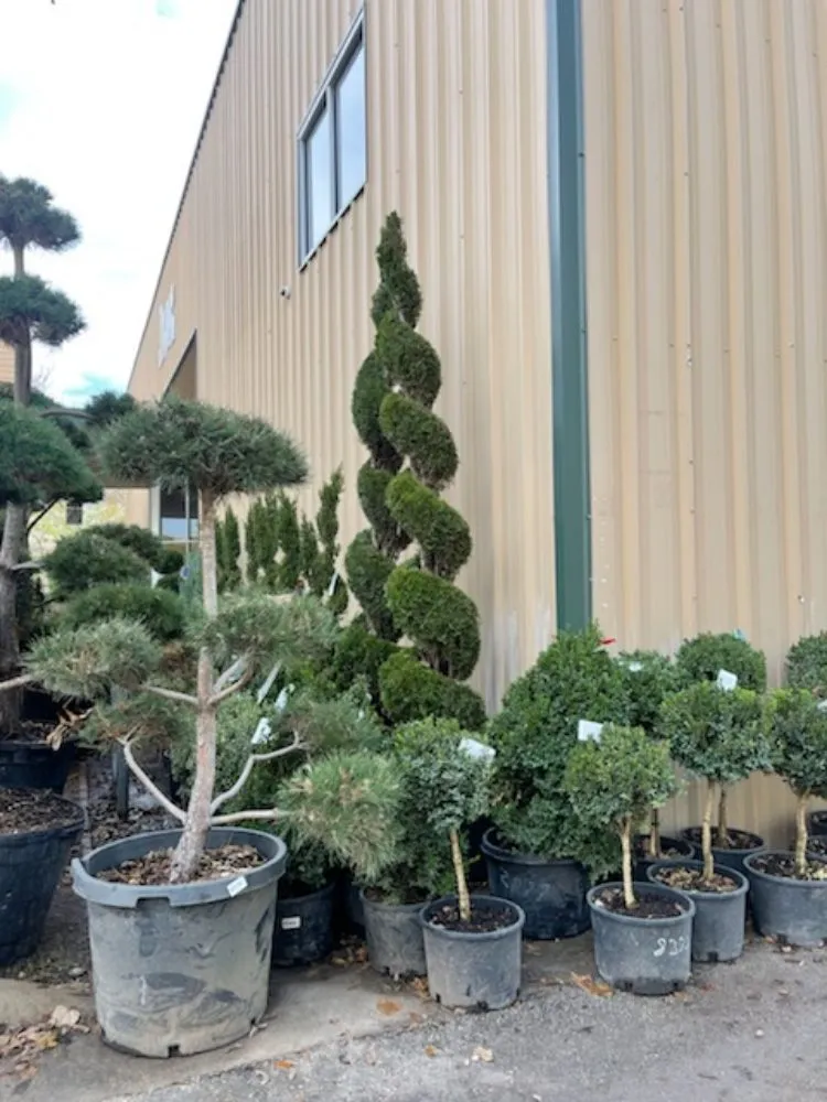 Affordable yard maintenance experts serving Kerrville, TX - Affordable Landscaping and Tree Care