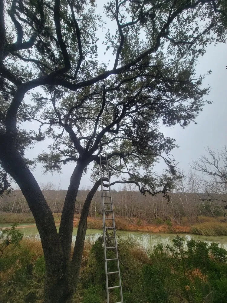 Expert lawn mowing service in Kerrville, TX by Affordable Landscaping and Tree Care